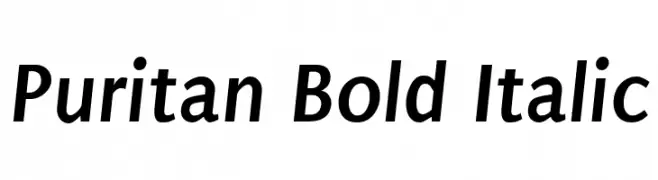Puritan Bold Italic  Free Fonts Download