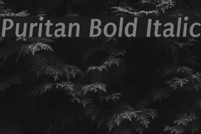 Puritan Bold Italic Font examples