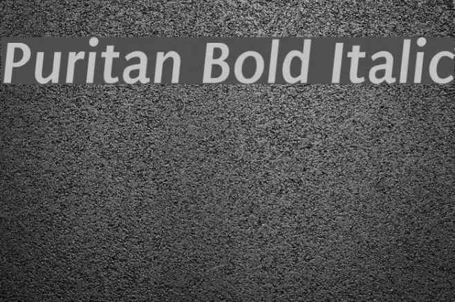 Puritan Bold Italic Font examples