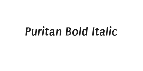 Puritan Bold Italic Logo