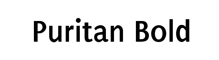 Puritan Bold Font