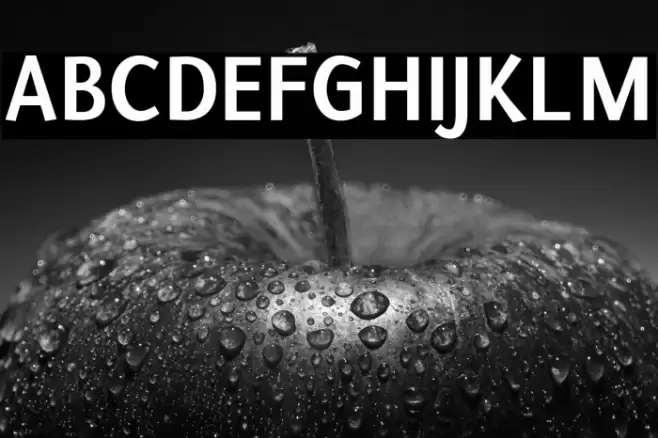 Puritan Bold Polices examples