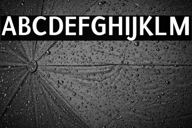 Puritan Bold Polices examples