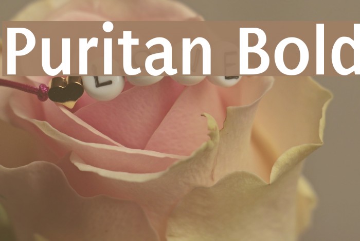 Puritan Bold Font examples