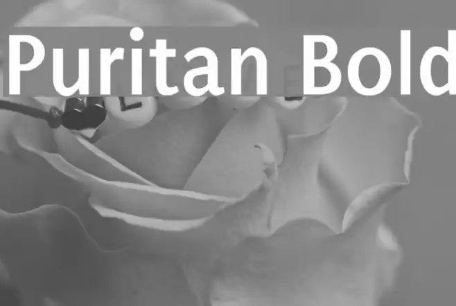 Puritan Bold Caratteri examples