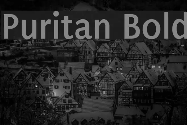 Puritan Bold Caratteri examples
