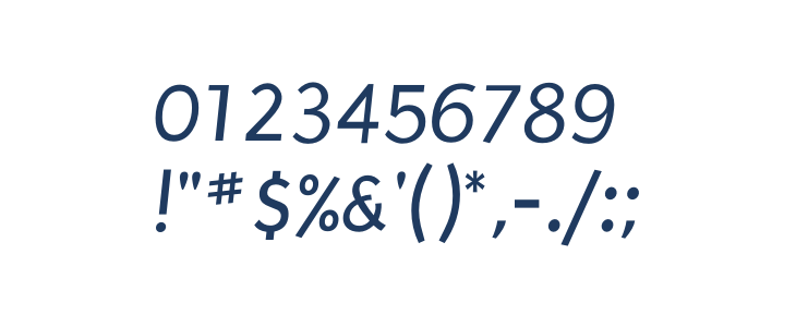Puritan Italic1 Other Characters