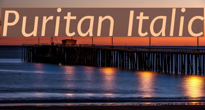 Puritan Italic Font examples