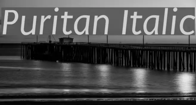 Puritan Italic Font examples