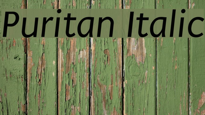 Puritan Italic Font examples