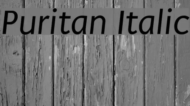 Puritan Italic Font examples