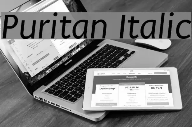 Puritan Italic Font examples