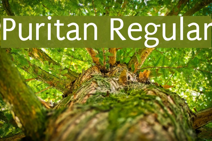 Puritan Regular Font examples