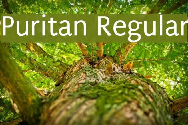 Puritan Regular Example 1
