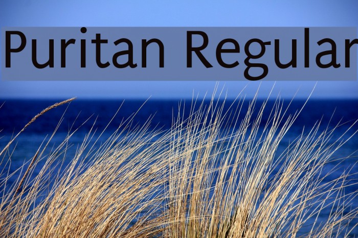 Puritan Regular Font examples