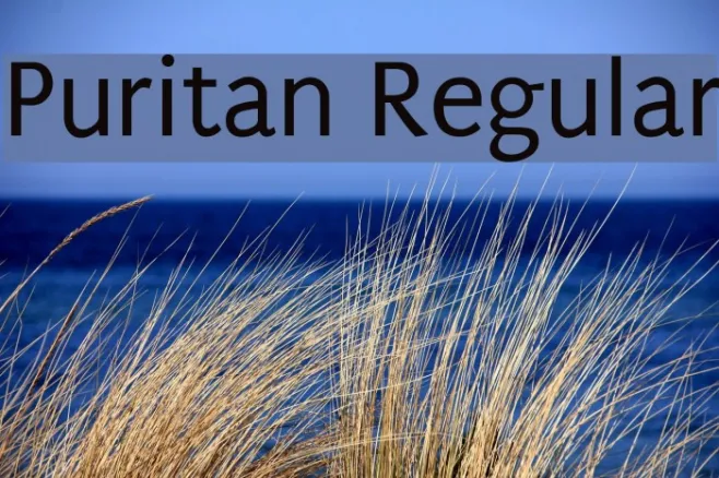 Puritan Regular Example 2