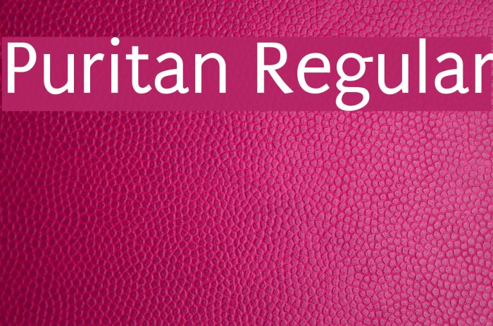 Puritan Regular Font examples