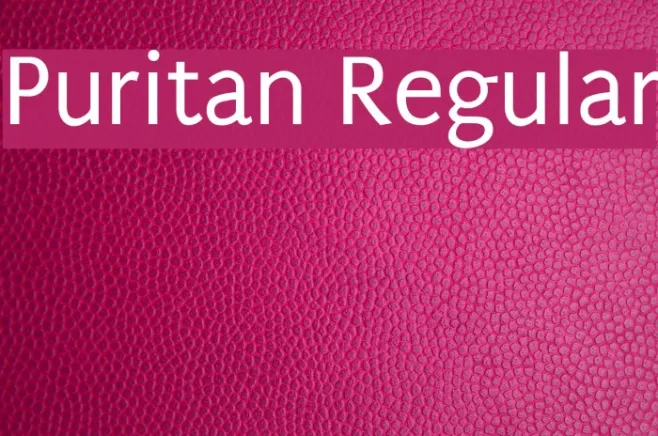 Puritan Regular Example 3