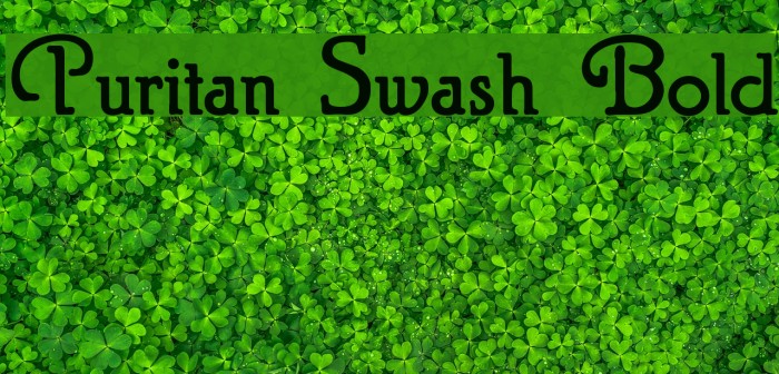 Puritan Swash Bold Font examples