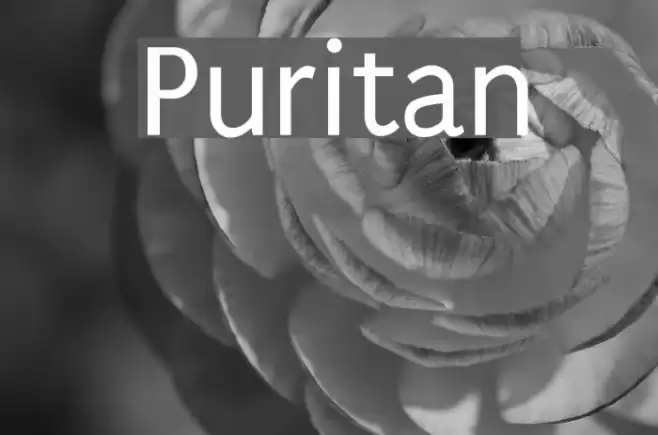 Puritan Font examples