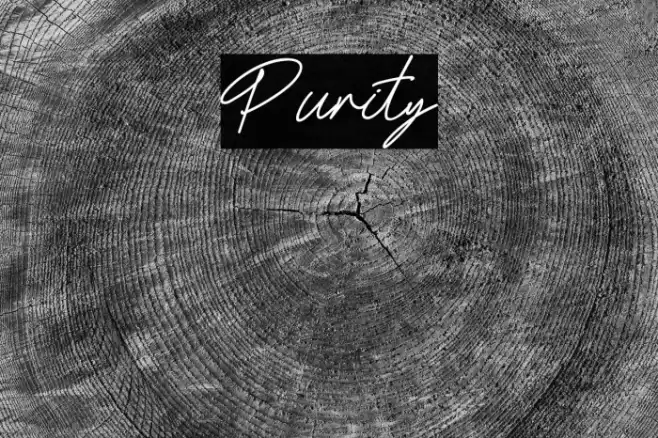 Purity फ़ॉन्ट examples