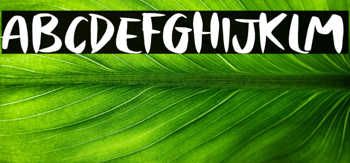 Purple Beast Example 2