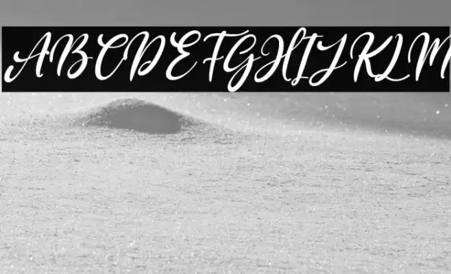 Purple Bougenville Italic Font examples