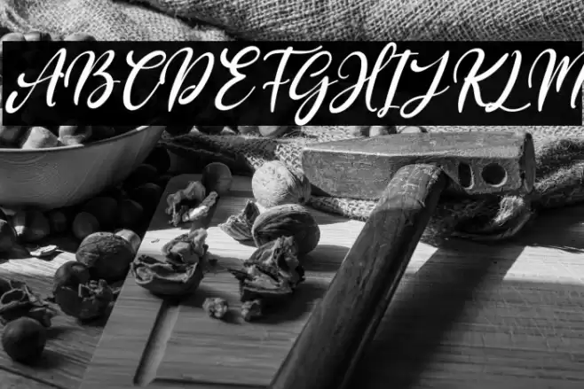 Purple Bougenville Italic Font examples