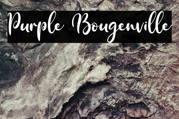Purple Bougenville Example 1