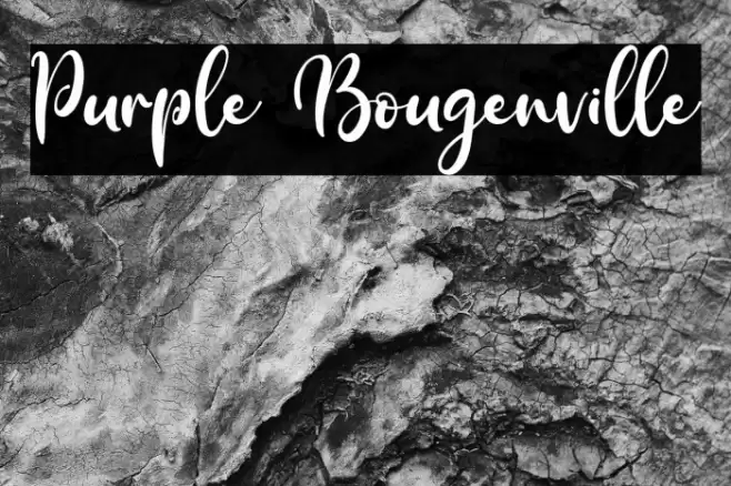 Purple Bougenville Font examples