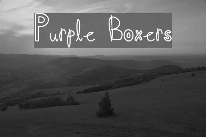 Purple Boxers Font examples