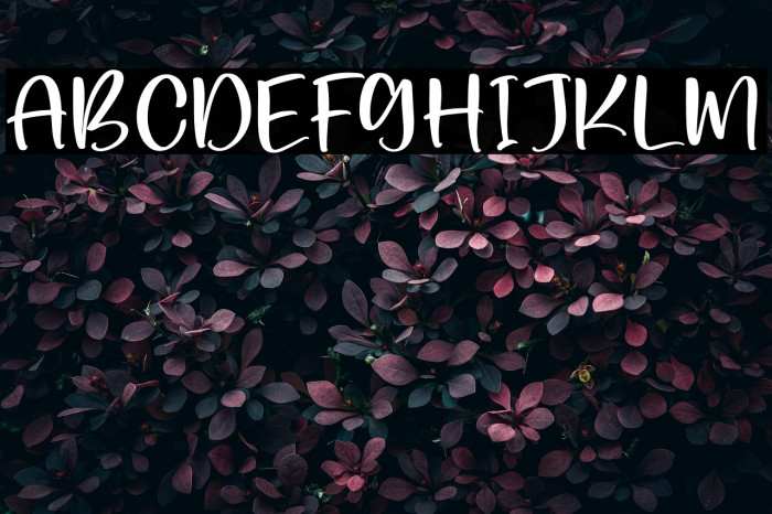 Purple Dragon Example 2