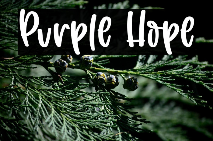 Purple Hope Example 3