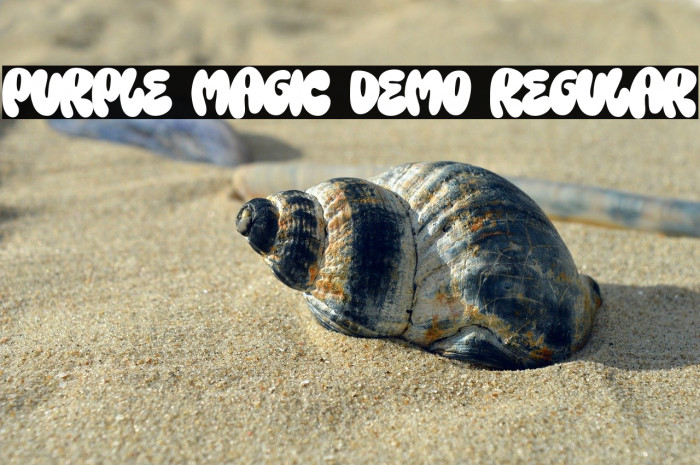 Purple Magic DEMO Regular Example 2