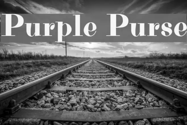 Purple Purse Font examples