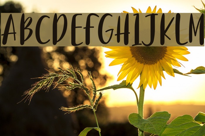 Purple River Example 2