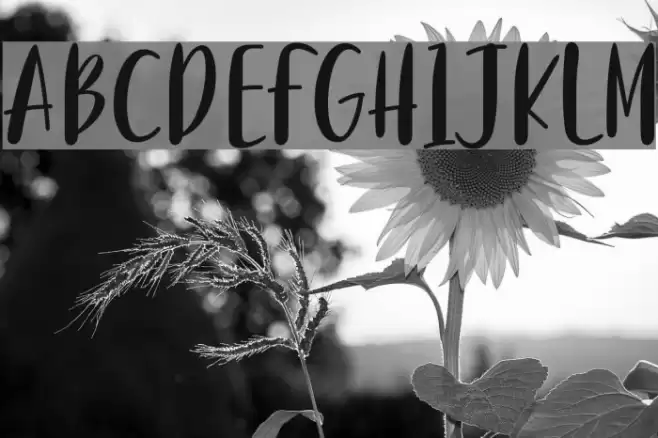 Purple River Font examples