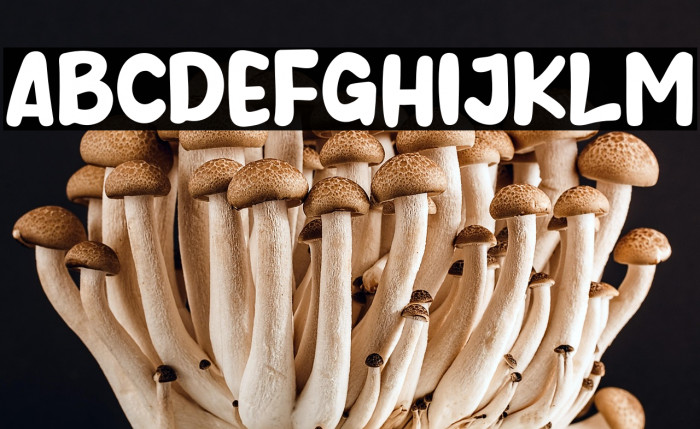 Purple Smile Example 1