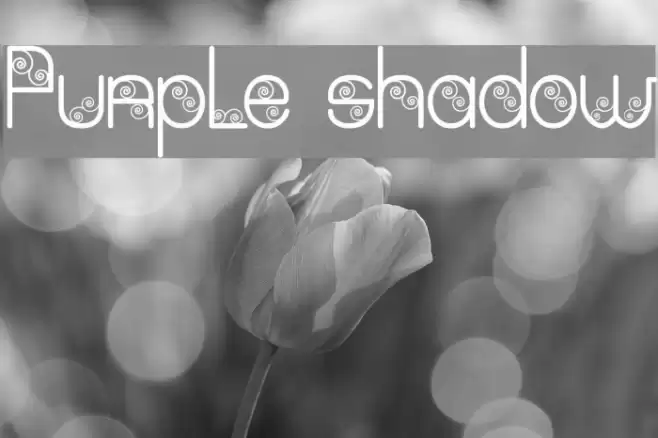 Purple shadow Font examples