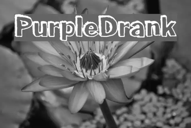 PurpleDrank Font examples