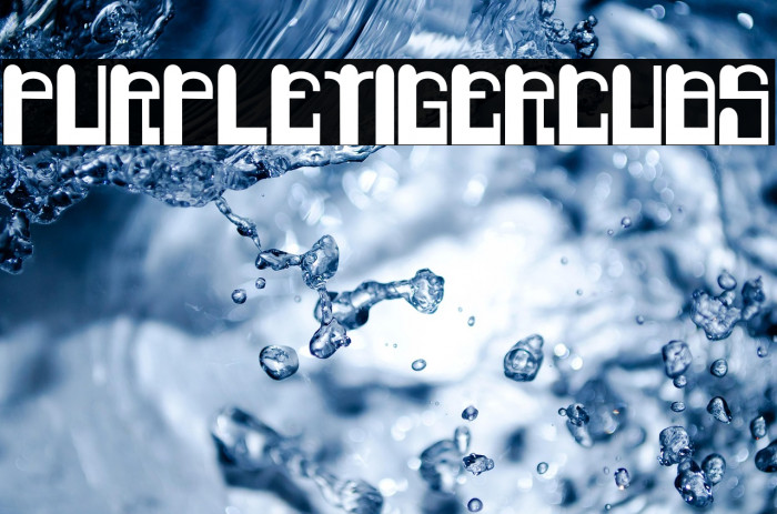 PurpleTigerCubs Example 1