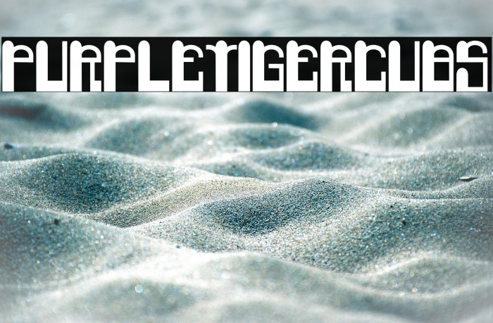 PurpleTigerCubs Example 2