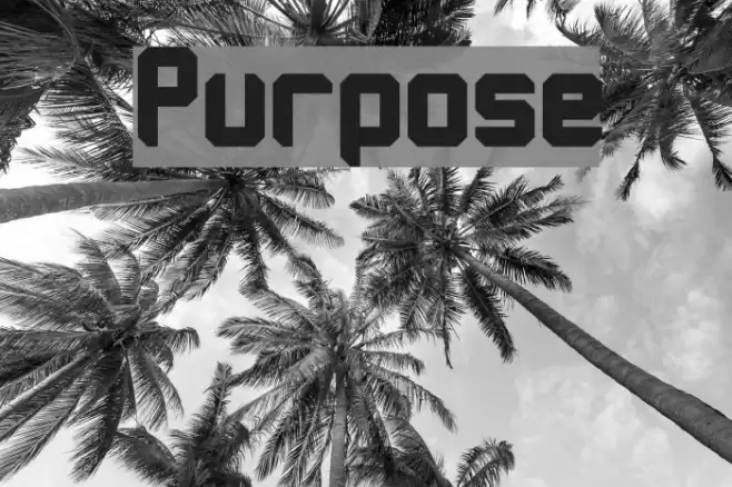 Purpose Font examples