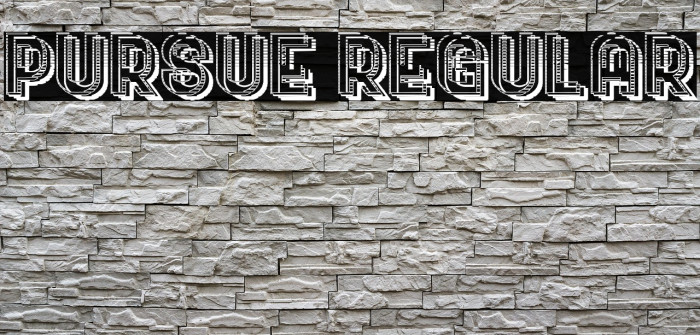 Pursue Regular Example 1