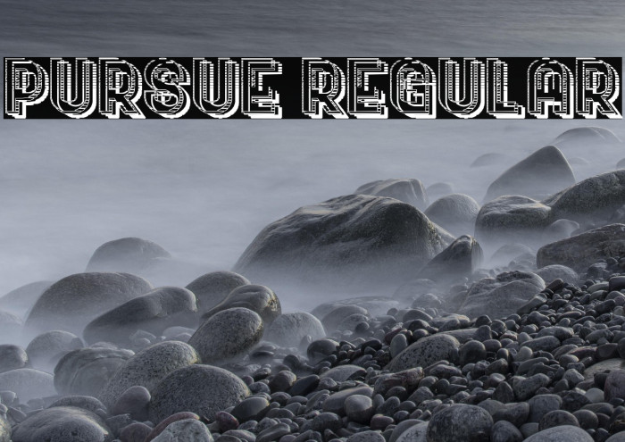 Pursue Regular Example 2