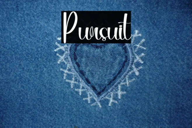 Pursuit Example 1