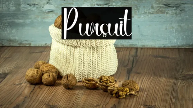Pursuit Example 2