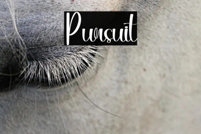 Pursuit Example 3