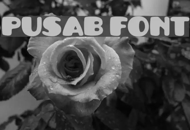 Pusab Font examples