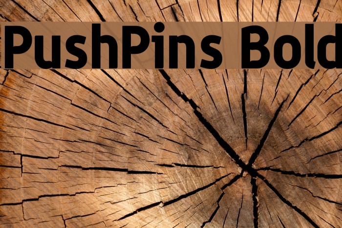 PushPins Bold Font examples